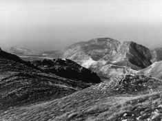 LANDI_A01_F004