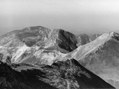 LANDI_A01_F006