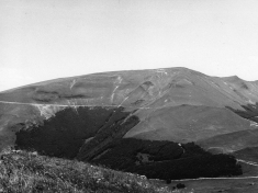 LANDI_A01_F013