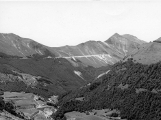 LANDI_A01_F014