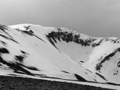 LANDI_A01_F083