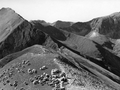 LANDI_A01_F088
