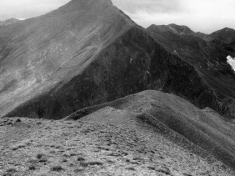 LANDI_A01_F093