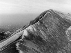 LANDI_A01_F100