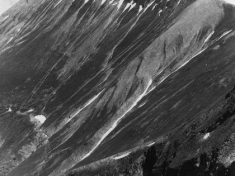 LANDI_A01_F104