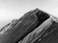 LANDI_A01_F107