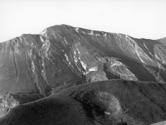 LANDI_A01_F110