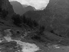 LANDI_A01_F115