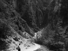 LANDI_A01_F127