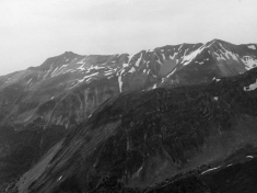 LANDI_A01_F142