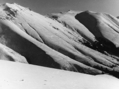 LANDI_A01_F150