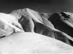 LANDI_A01_F156