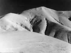 LANDI_A01_F160
