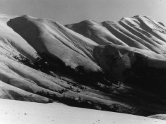 LANDI_A01_F164