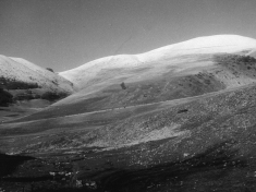 LANDI_A01_F170