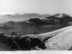 LANDI_A01_F172