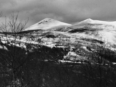 LANDI_A01_F174