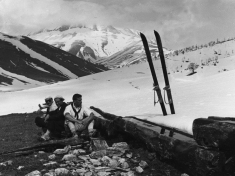 LANDI_A01_F176