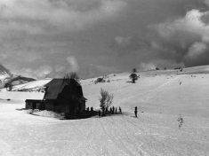 LANDI_A01_F182