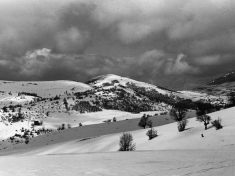 LANDI_A01_F183