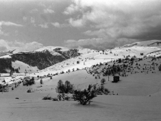LANDI_A01_F185