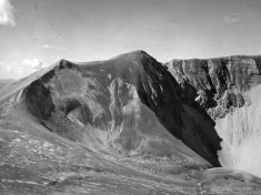 LANDI_A01_F193