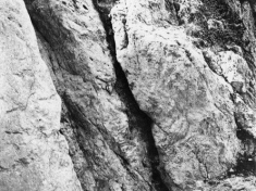 ACCANT_A010_F009