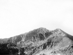 ACCANT_A010_F024