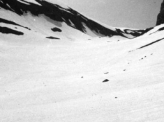 MAURIZI_A11_F113