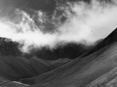 MAURIZI_A11_F294