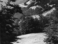 MAURIZI_A11_F312